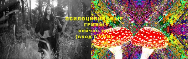 молекула духа Нефтекумск
