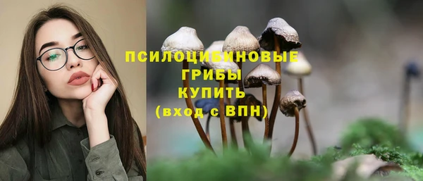 мдпв Новодвинск