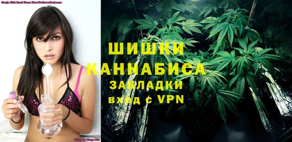 мдпв Новодвинск
