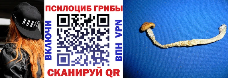 МЕГА   где купить наркоту  Чусовой  Псилоцибиновые грибы GOLDEN TEACHER 