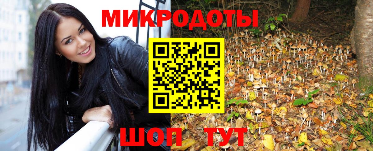 Галлюциногенные грибы MAGIC MUSHROOMS  где купить наркоту  Чусовой  Вход с VPN 