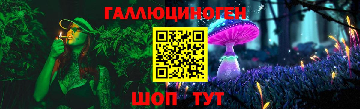 Галлюциногенные грибы Psilocybine cubensis  Псилоцибиновые грибы Psilocybe  Чусовой 