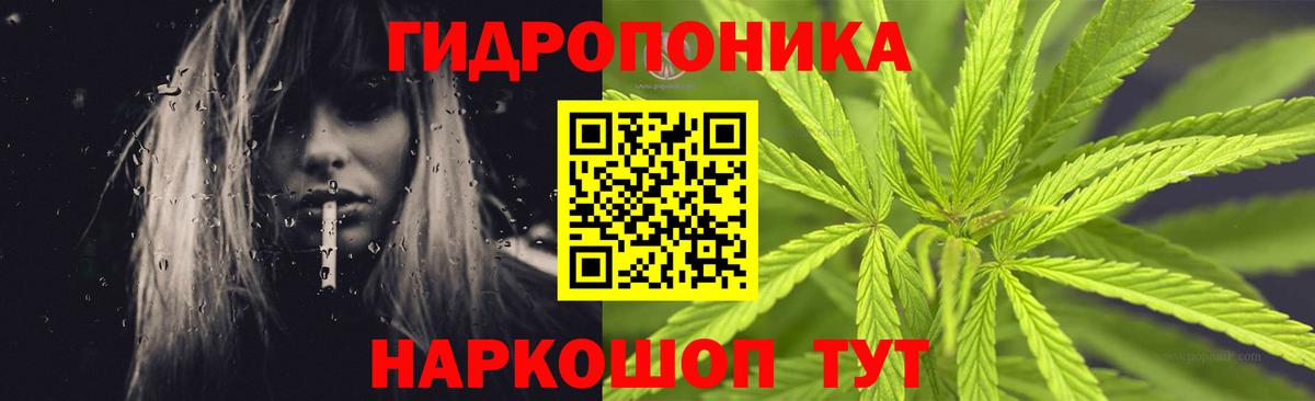 Шишки марихуана конопля  Чусовой  Каннабис Amnesia  Бошки Шишки OG Kush 